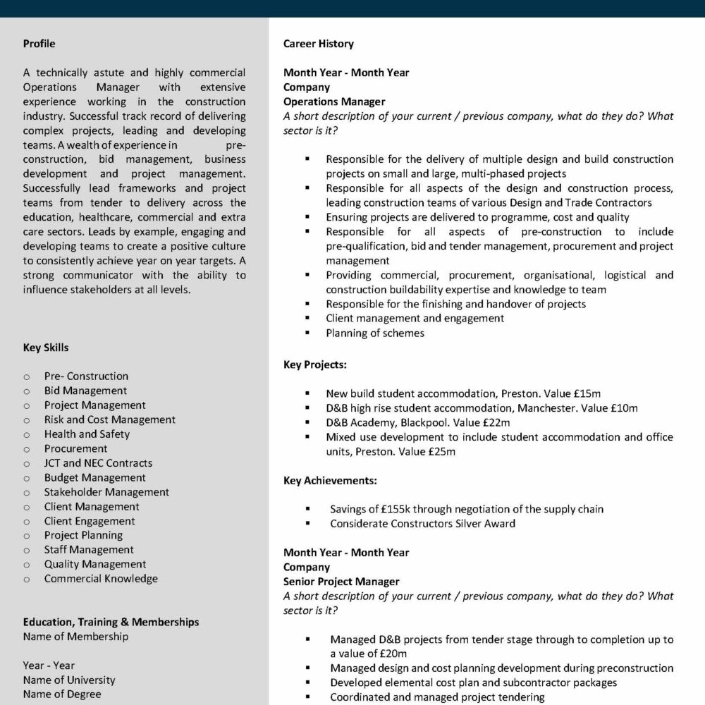 CV Template My Professional CV